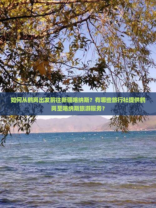 如何从鹤岗出发前往新疆喀纳斯？有哪些旅行社提供鹤岗至喀纳斯旅游服务？