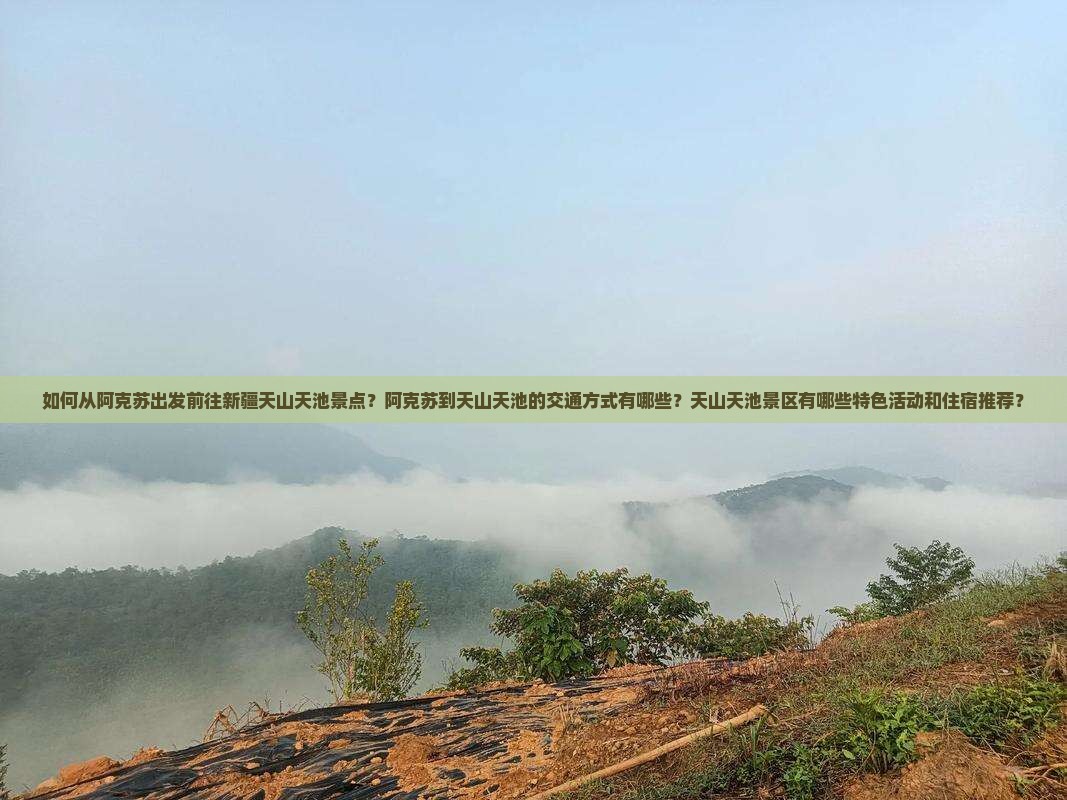 如何从阿克苏出发前往新疆天山天池景点？阿克苏到天山天池的交通方式有哪些？天山天池景区有哪些特色活动和住宿推荐？
