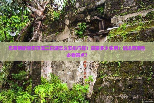 思茅到新疆布尔津二日游怎么安排行程？需要多少费用？沿途有哪些必看景点？