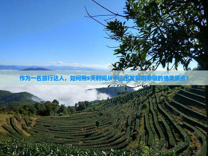 作为一名旅行达人，如何用5天时间从中山出发畅游新疆的绝美景点？