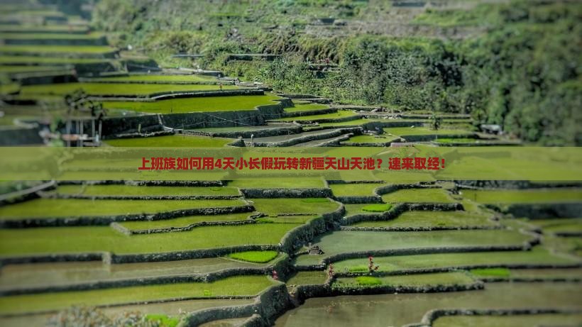 上班族如何用4天小长假玩转新疆天山天池？速来取经！