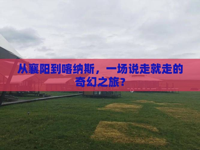 从襄阳到喀纳斯，一场说走就走的奇幻之旅？