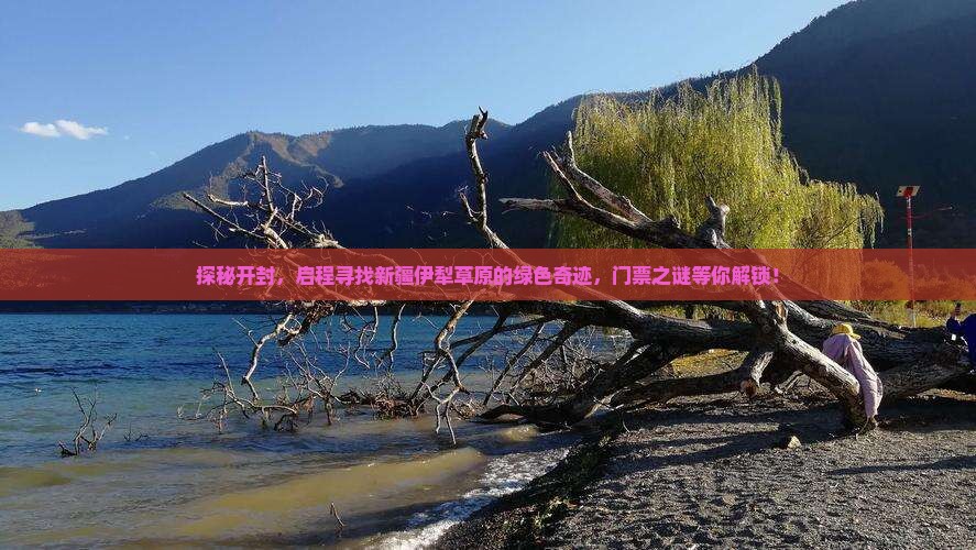 探秘开封，启程寻找新疆伊犁草原的绿色奇迹，门票之谜等你解锁！