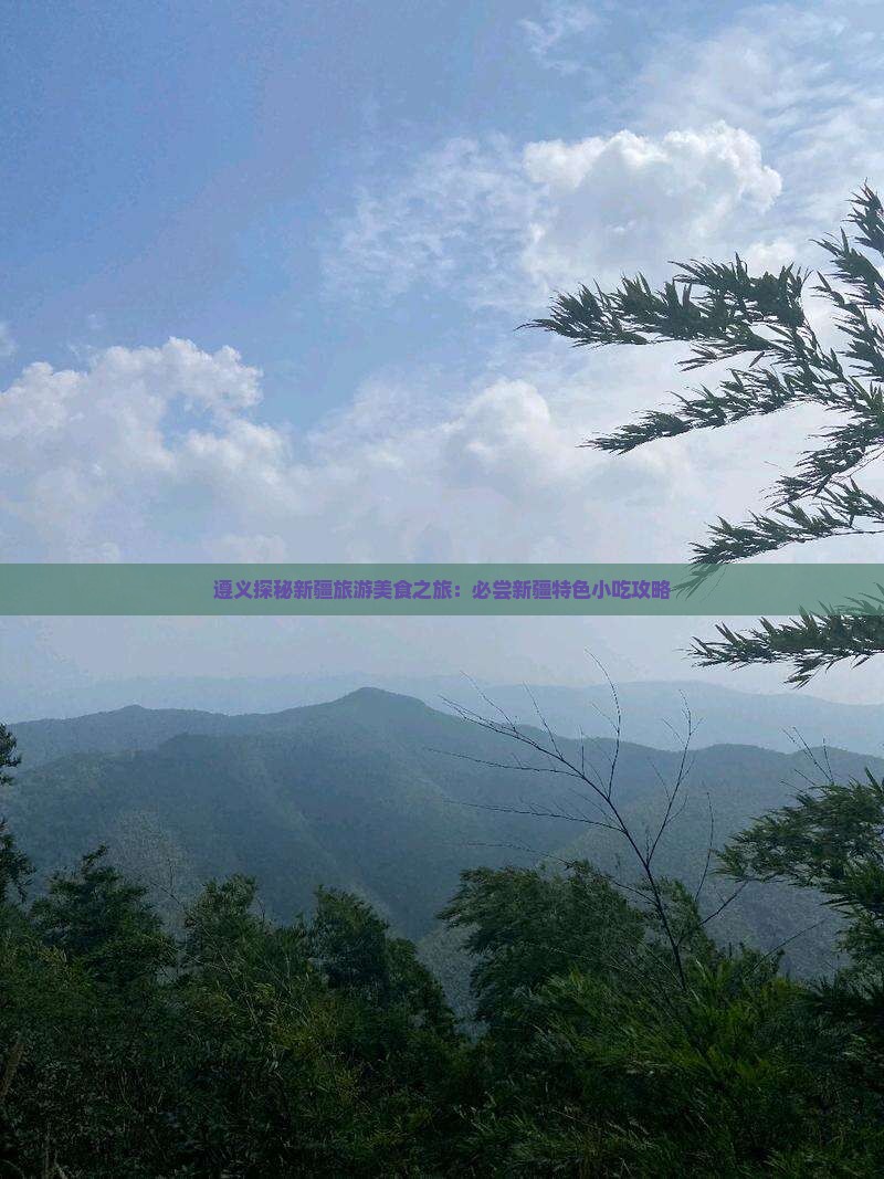 遵义探秘新疆旅游美食之旅：必尝新疆特色小吃攻略