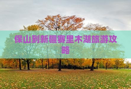 保山到新疆赛里木湖旅游攻略