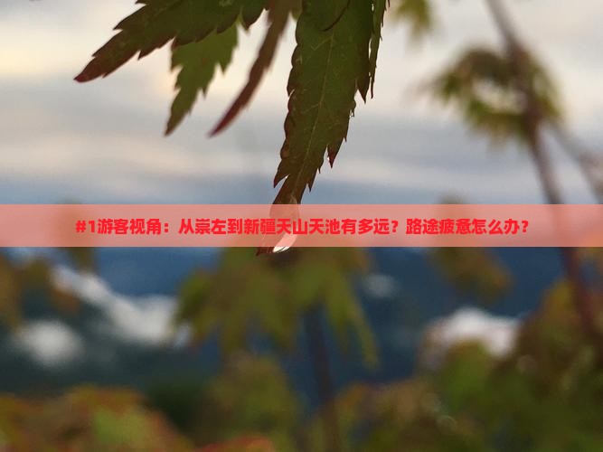 #1游客视角：从崇左到新疆天山天池有多远？路途疲惫怎么办？