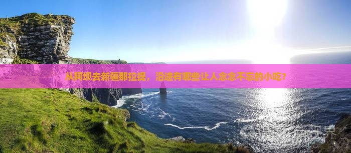 从阿坝去新疆那拉提，沿途有哪些让人念念不忘的小吃？