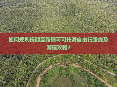 如何规划抚顺至新疆可可托海自由行路线及游玩攻略？