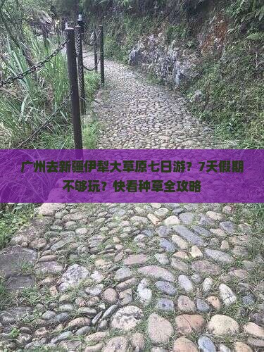 广州去新疆伊犁大草原七日游？7天假期不够玩？快看种草全攻略