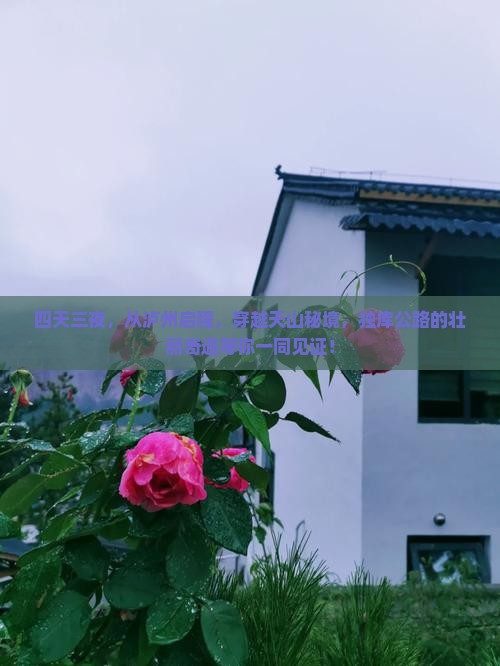 四天三夜，从泸州启程，穿越天山秘境，独库公路的壮丽奇遇等你一同见证！