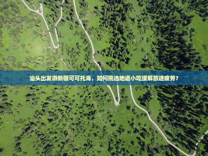 汕头出发游新疆可可托海，如何挑选地道小吃缓解旅途疲劳？