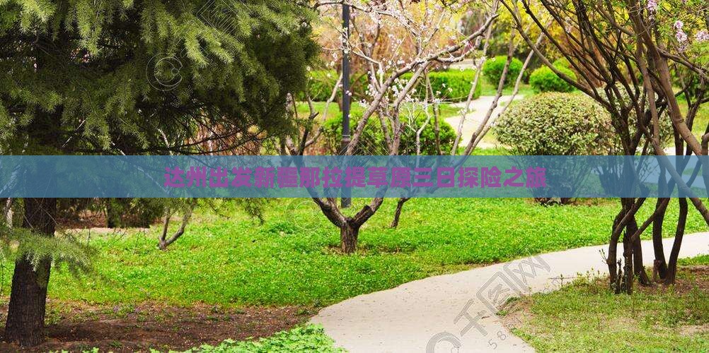 达州出发新疆那拉提草原三日探险之旅