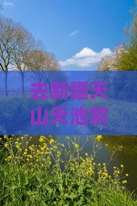 去新疆天山天池前，先到垦利打个卡吧？