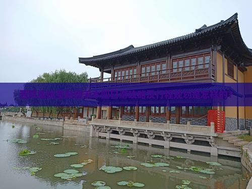 西双版纳至新疆禾木四日游攻略及行程规划是怎样的？