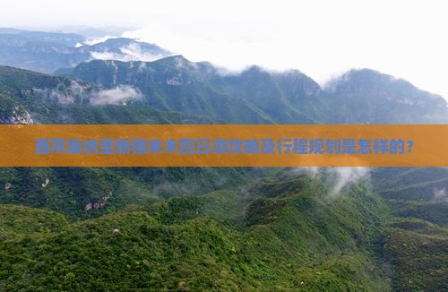 西双版纳至新疆禾木四日游攻略及行程规划是怎样的？