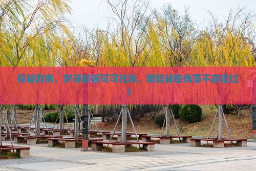探秘黔南，梦寻新疆可可托海，哪些秘密角落不容错过？