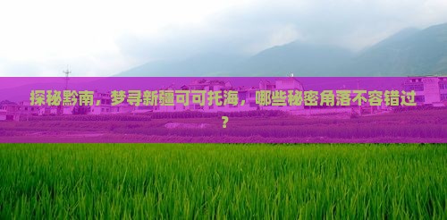 探秘黔南，梦寻新疆可可托海，哪些秘密角落不容错过？