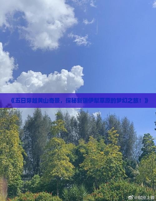 《五日穿越黄山奇景，探秘新疆伊犁草原的梦幻之旅！》