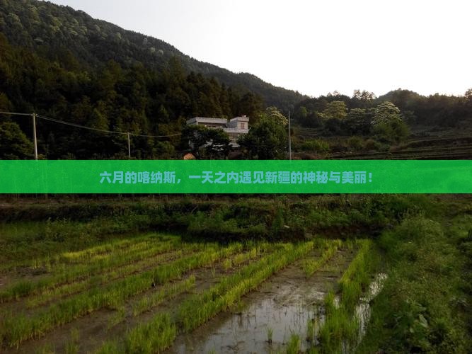 六月的喀纳斯，一天之内遇见新疆的神秘与美丽！