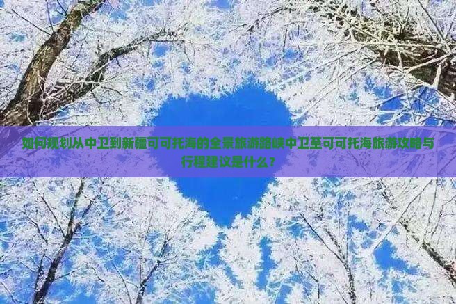 如何规划从中卫到新疆可可托海的全景旅游路峡中卫至可可托海旅游攻略与行程建议是什么？