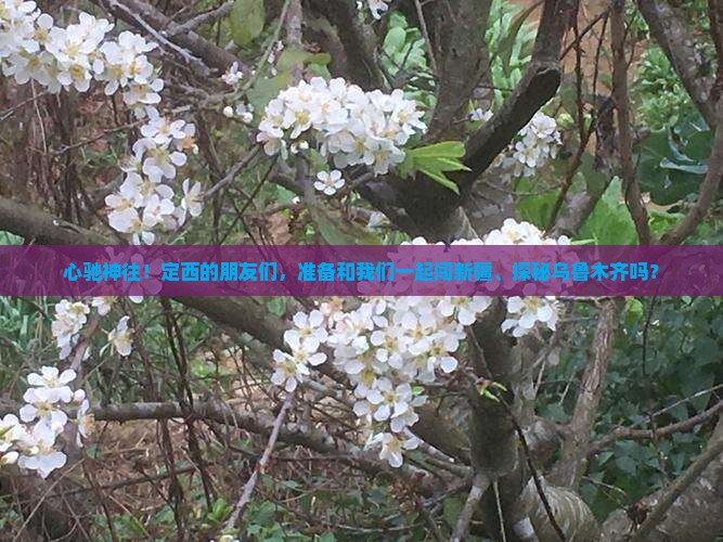 心驰神往！定西的朋友们，准备和我们一起闯新疆、探秘乌鲁木齐吗？