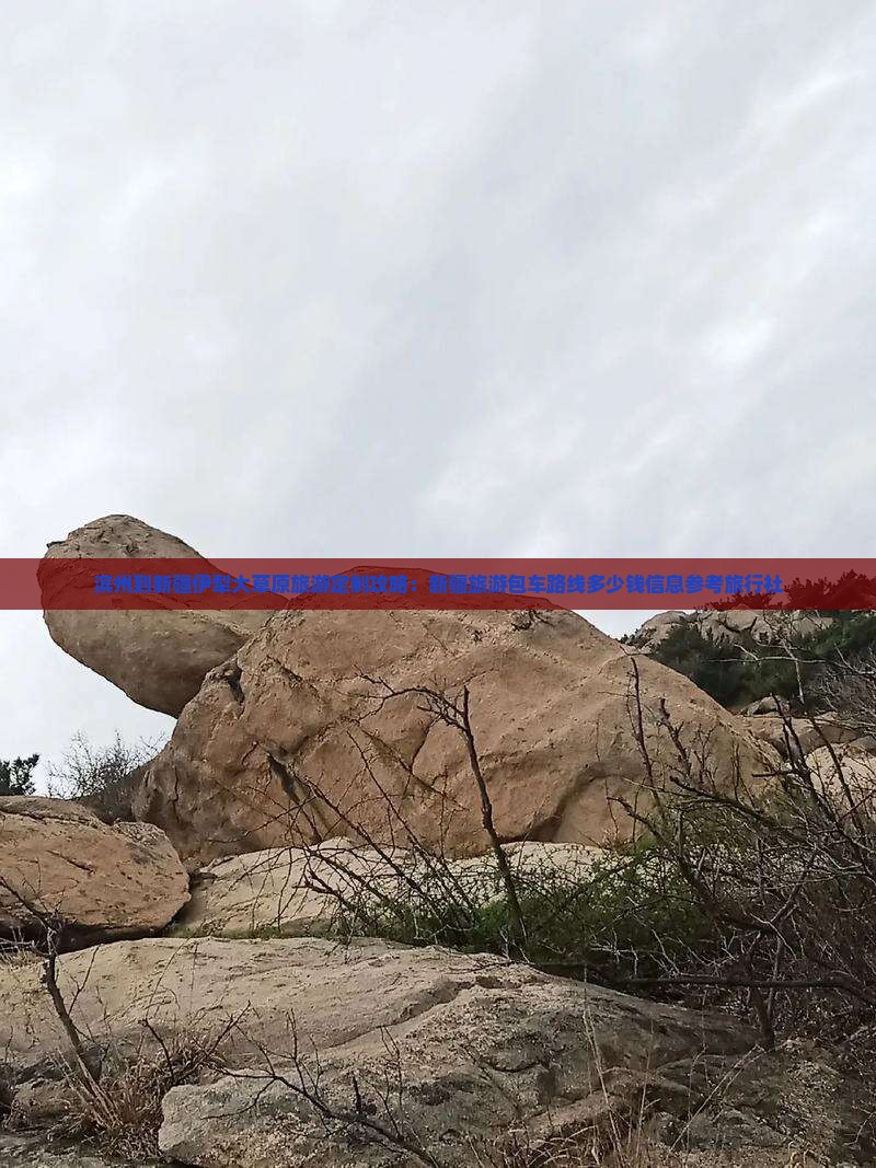 滨州到新疆伊犁大草原旅游定制攻略：新疆旅游包车路线多少钱信息参考旅行社