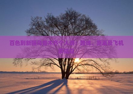 百色到新疆乌鲁木齐个人游：路线、距离及飞机票信息