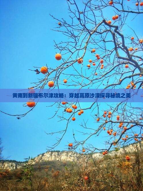 黄南到新疆布尔津攻略：穿越高原沙漠探寻秘境之美