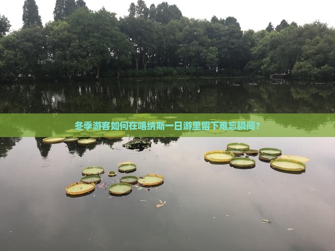 冬季游客如何在喀纳斯一日游里留下难忘瞬间？