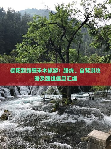 德阳到新疆禾木旅游：路线、自驾游攻略及团组信息汇编