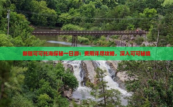新疆可可托海探秘一日游：费用详尽攻略，深入可可秘境