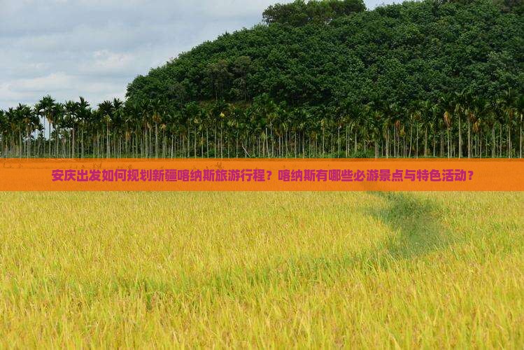 安庆出发如何规划新疆喀纳斯旅游行程？喀纳斯有哪些必游景点与特色活动？