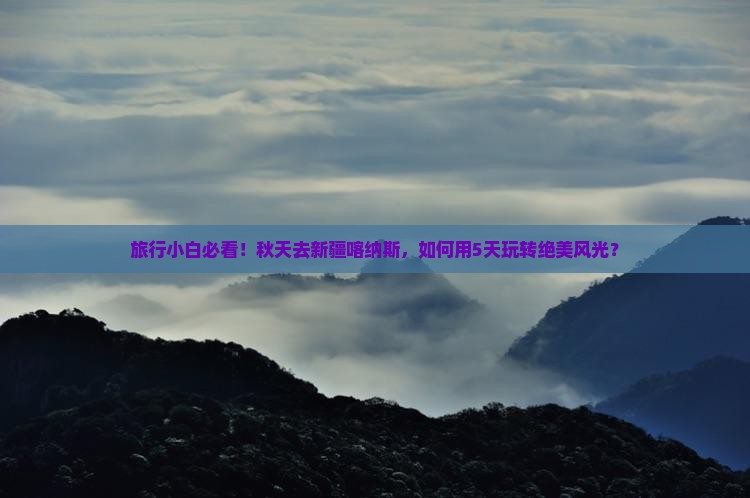 旅行小白必看！秋天去新疆喀纳斯，如何用5天玩转绝美风光？