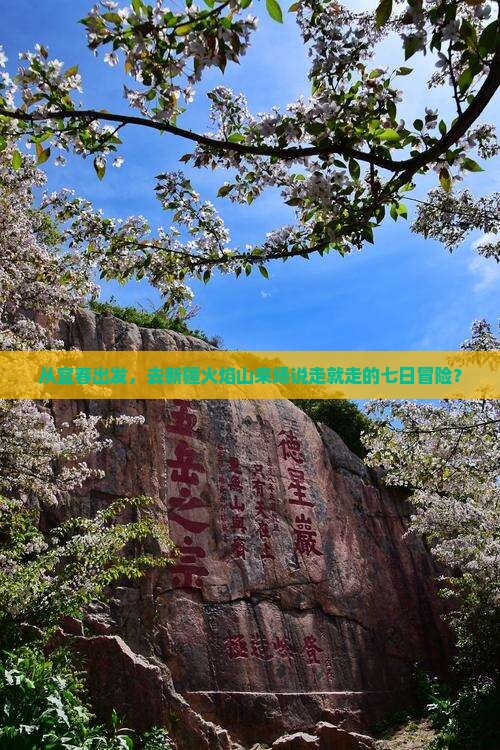 从宜春出发，去新疆火焰山来场说走就走的七日冒险？