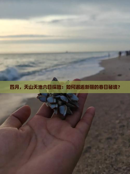 四月，天山天池六日探险：如何邂逅新疆的春日秘境？