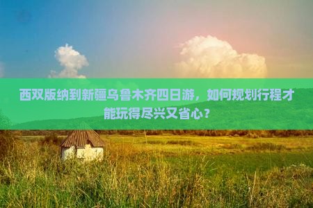 西双版纳到新疆乌鲁木齐四日游，如何规划行程才能玩得尽兴又省心？