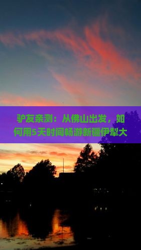 驴友亲测：从佛山出发，如何用5天时间畅游新疆伊犁大草原美景？
