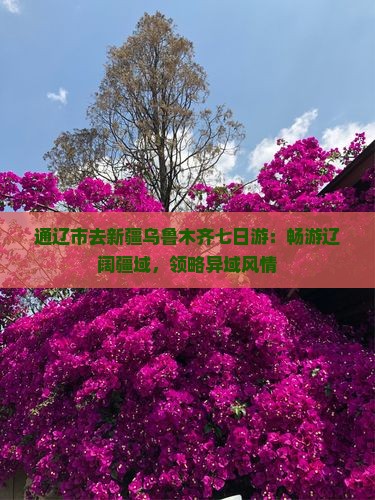 通辽市去新疆乌鲁木齐七日游：畅游辽阔疆域，领略异域风情