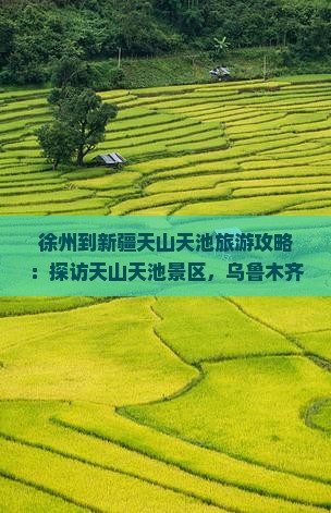 徐州到新疆天山天池旅游攻略：探访天山天池景区，乌鲁木齐旅行社推荐与机场指南