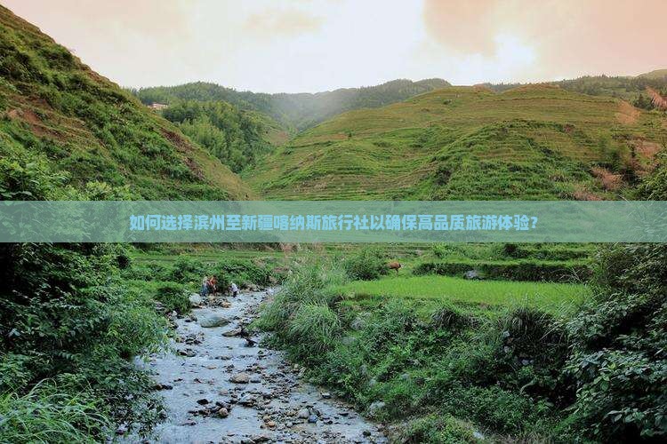 如何选择滨州至新疆喀纳斯旅行社以确保高品质旅游体验？