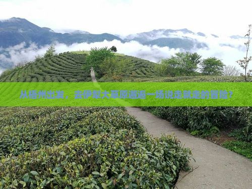 从梧州出发，去伊犁大草原邂逅一场说走就走的冒险？