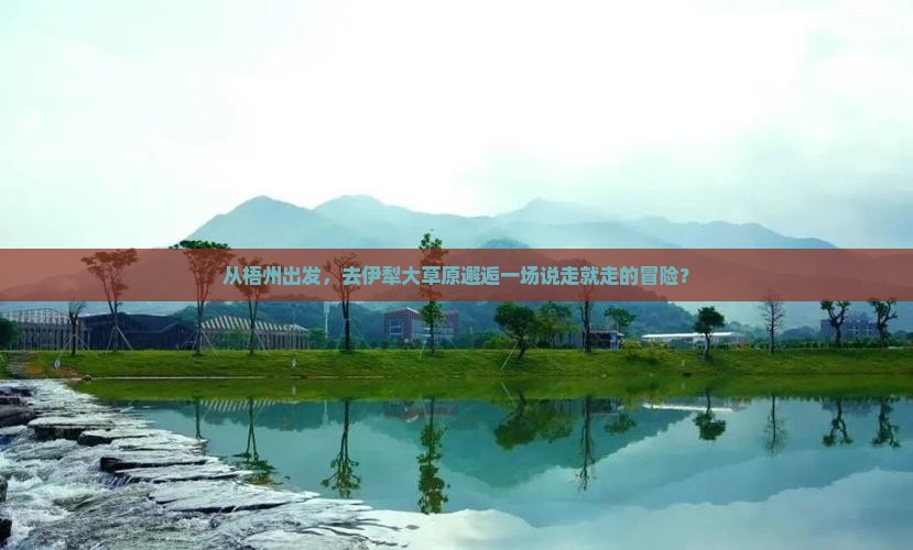 从梧州出发，去伊犁大草原邂逅一场说走就走的冒险？