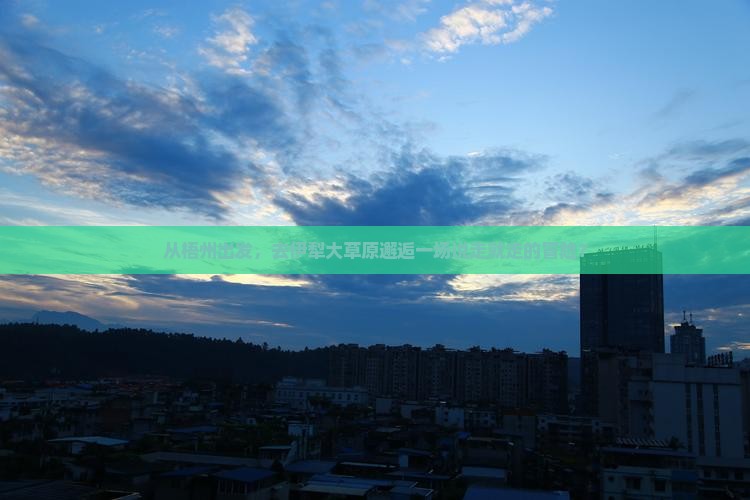 从梧州出发，去伊犁大草原邂逅一场说走就走的冒险？