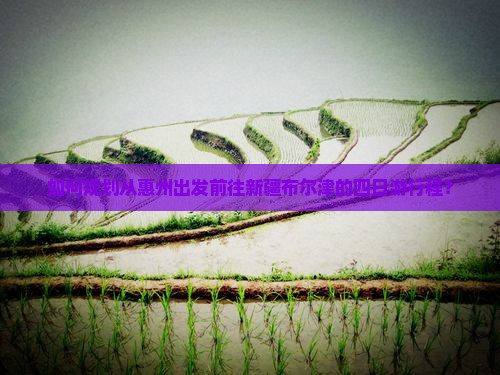 如何规划从惠州出发前往新疆布尔津的四日游行程？