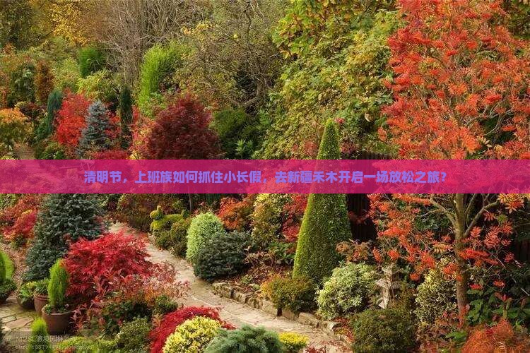 清明节，上班族如何抓住小长假，去新疆禾木开启一场放松之旅？