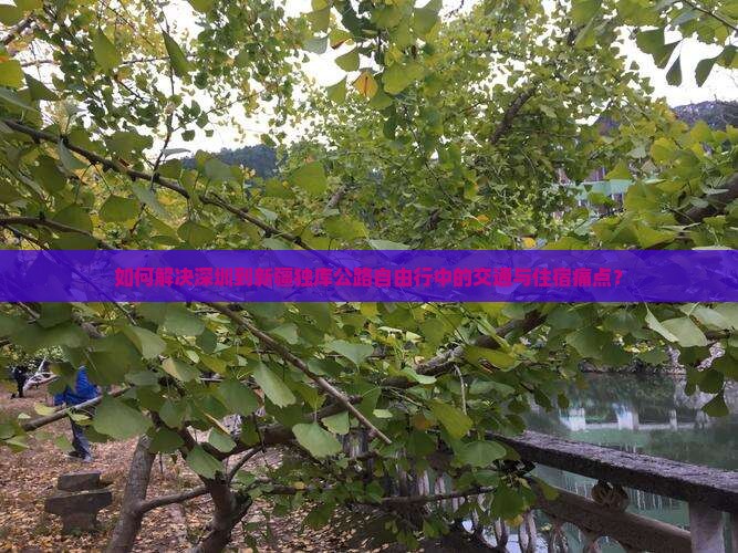如何解决深圳到新疆独库公路自由行中的交通与住宿痛点？