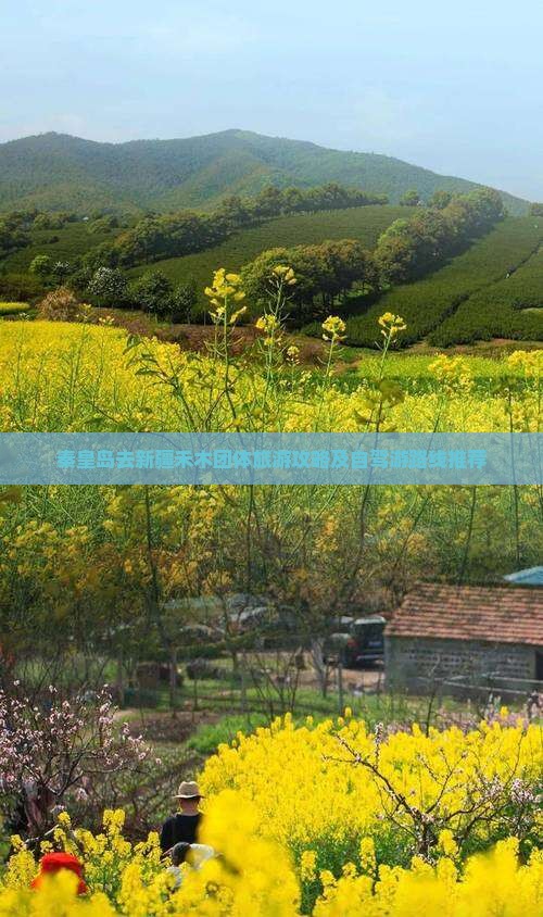 秦皇岛去新疆禾木团体旅游攻略及自驾游路线推荐
