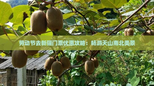 劳动节去新疆门票优惠攻略：畅游天山南北美景