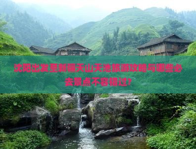 沈阳出发至新疆天山天池旅游攻略与哪些必去景点不容错过？