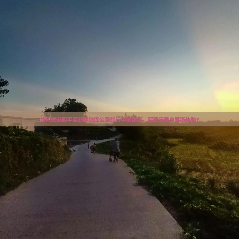 如何规避四平至新疆独库公路旅行中的痛点，实现完美自驾游体验？